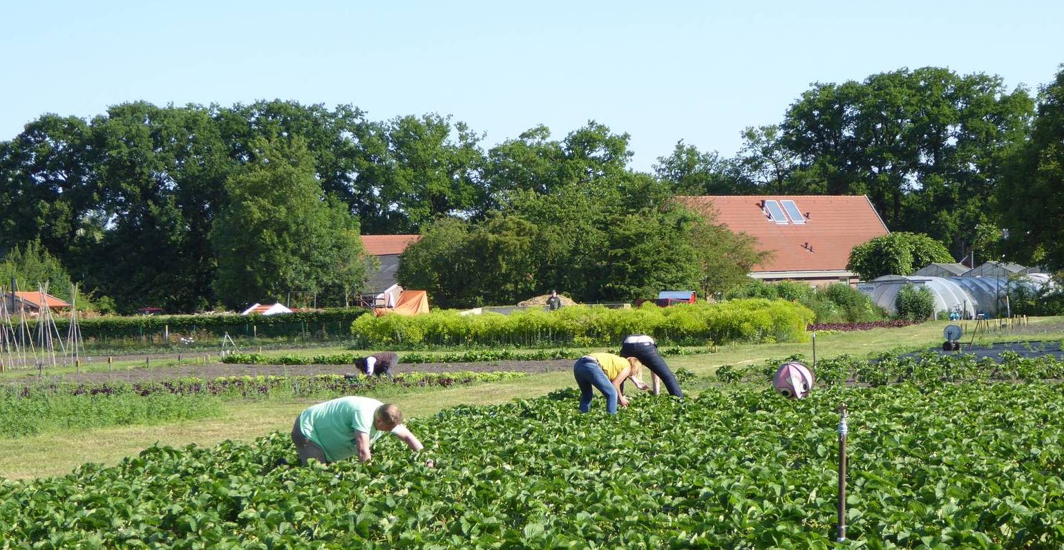 mensen in de verte